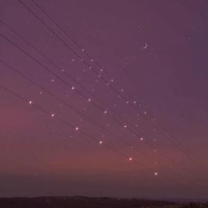 成人免费视频❌❌❌在线观看
